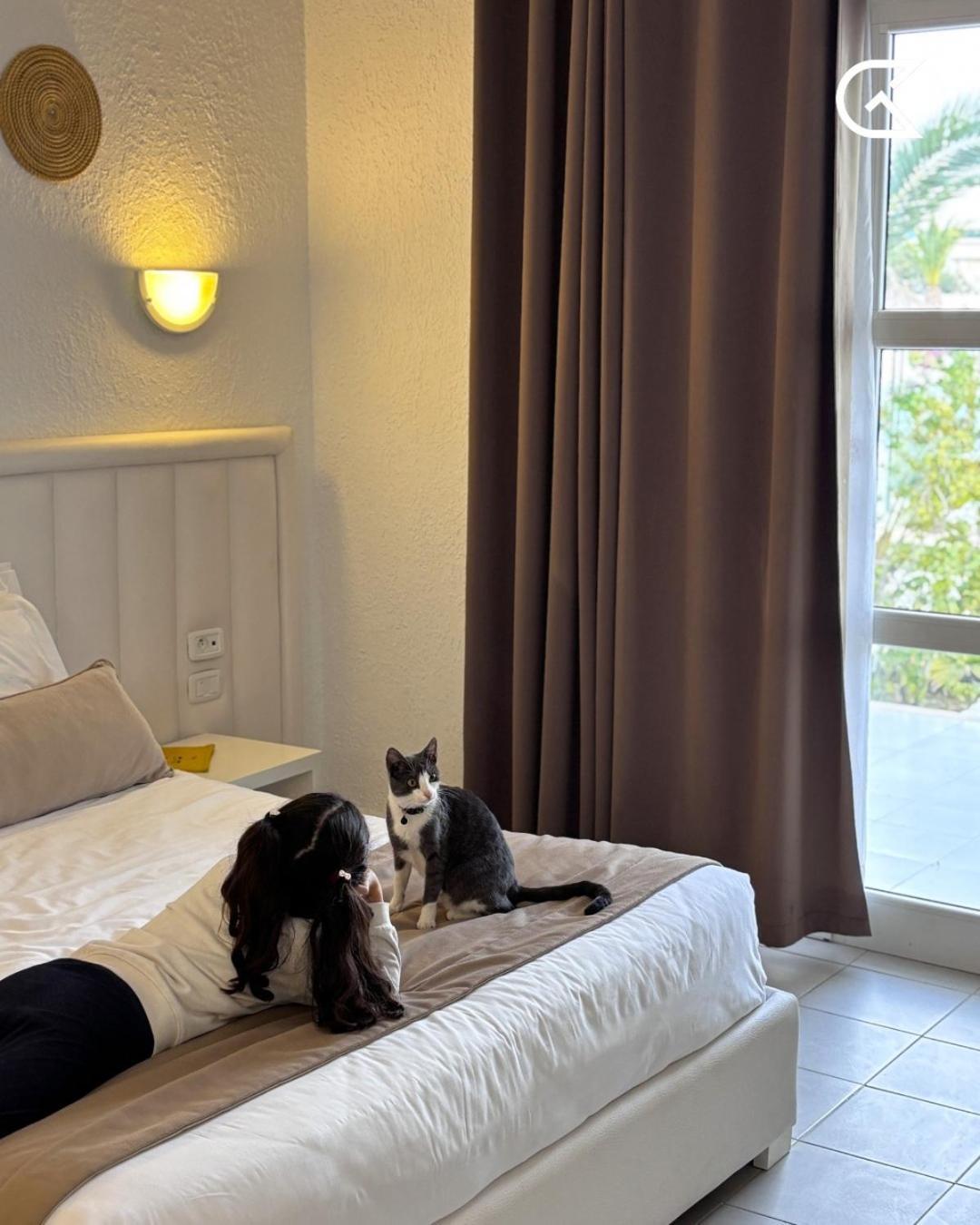 Golden Tulip President Hammamet Hotel Eksteriør billede